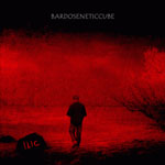 Bardoseneticcube - ILIC