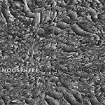 Bardoseneticcube - Noosphere
