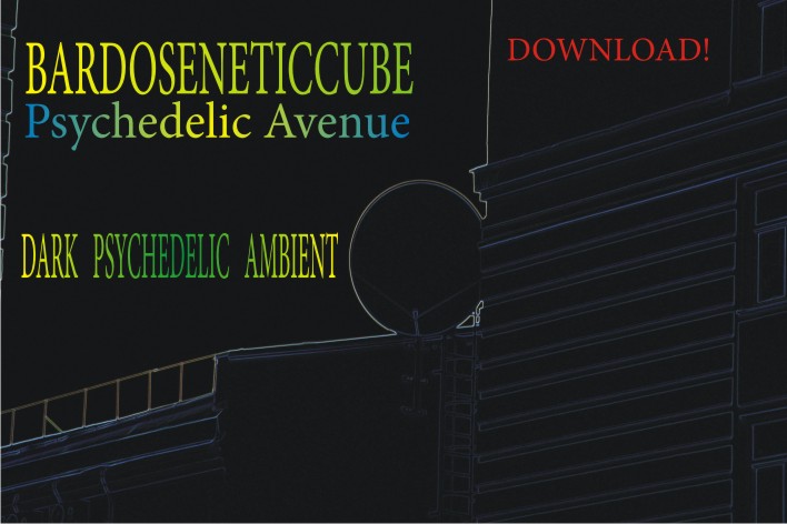 Bardoseneticcube -<br />Psychedelic Avenue